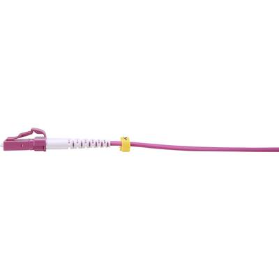 Pink network cable with yellow marking, lying on a white background.