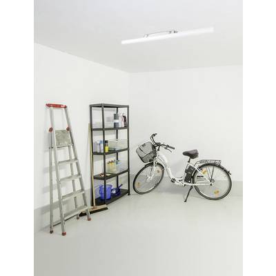 A tidy storage room with a ladder, shelving unit with household items and a bicycle, shown in a bright, white environment.