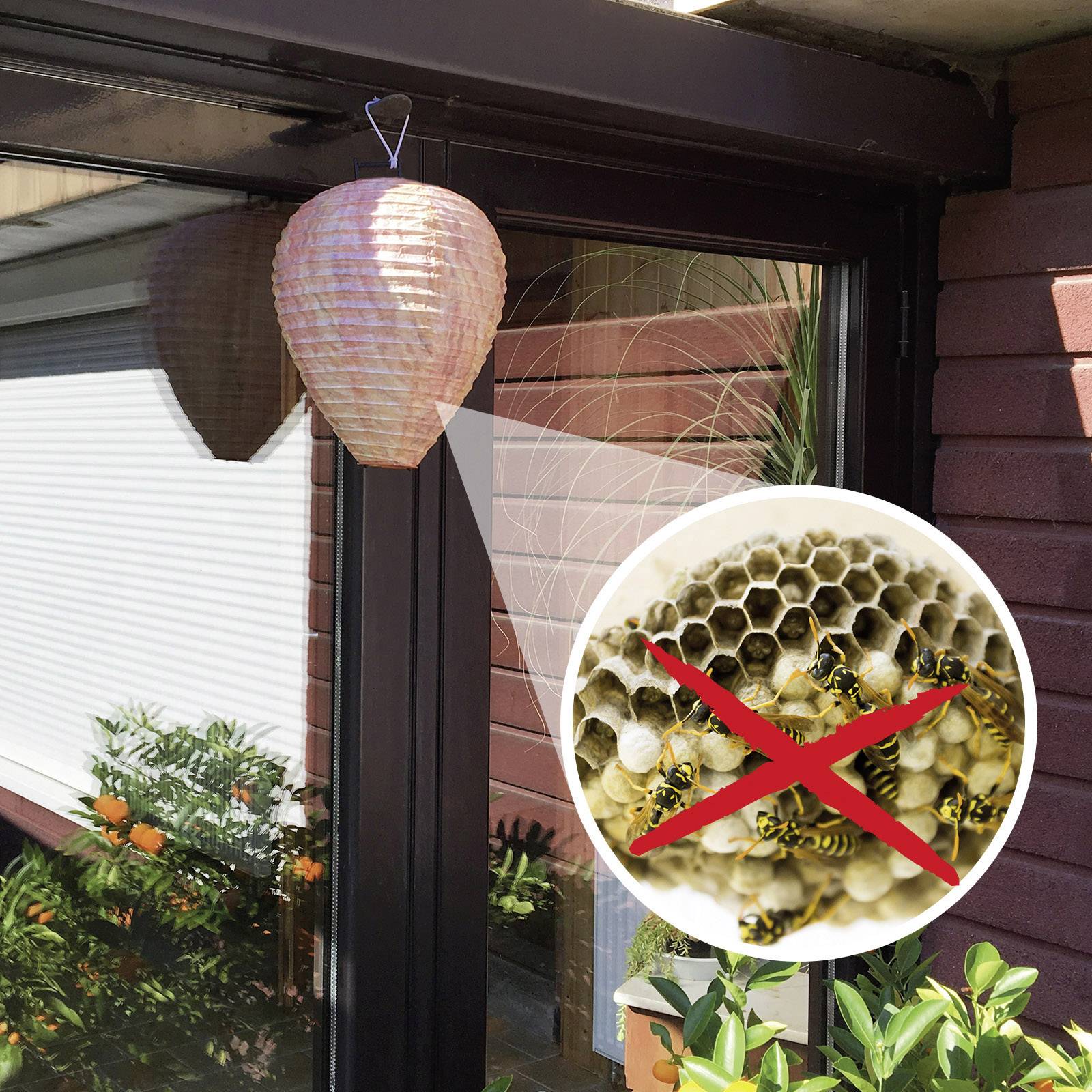 A picture shows protection against wasps, consisting of a suspended decoy of a wasp nest and a photo of wasps with a red cross.