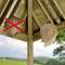 Two wasp nests in the roof space: one crossed out on the left, one intact on the right. Symbolises the removal and securing of nests.