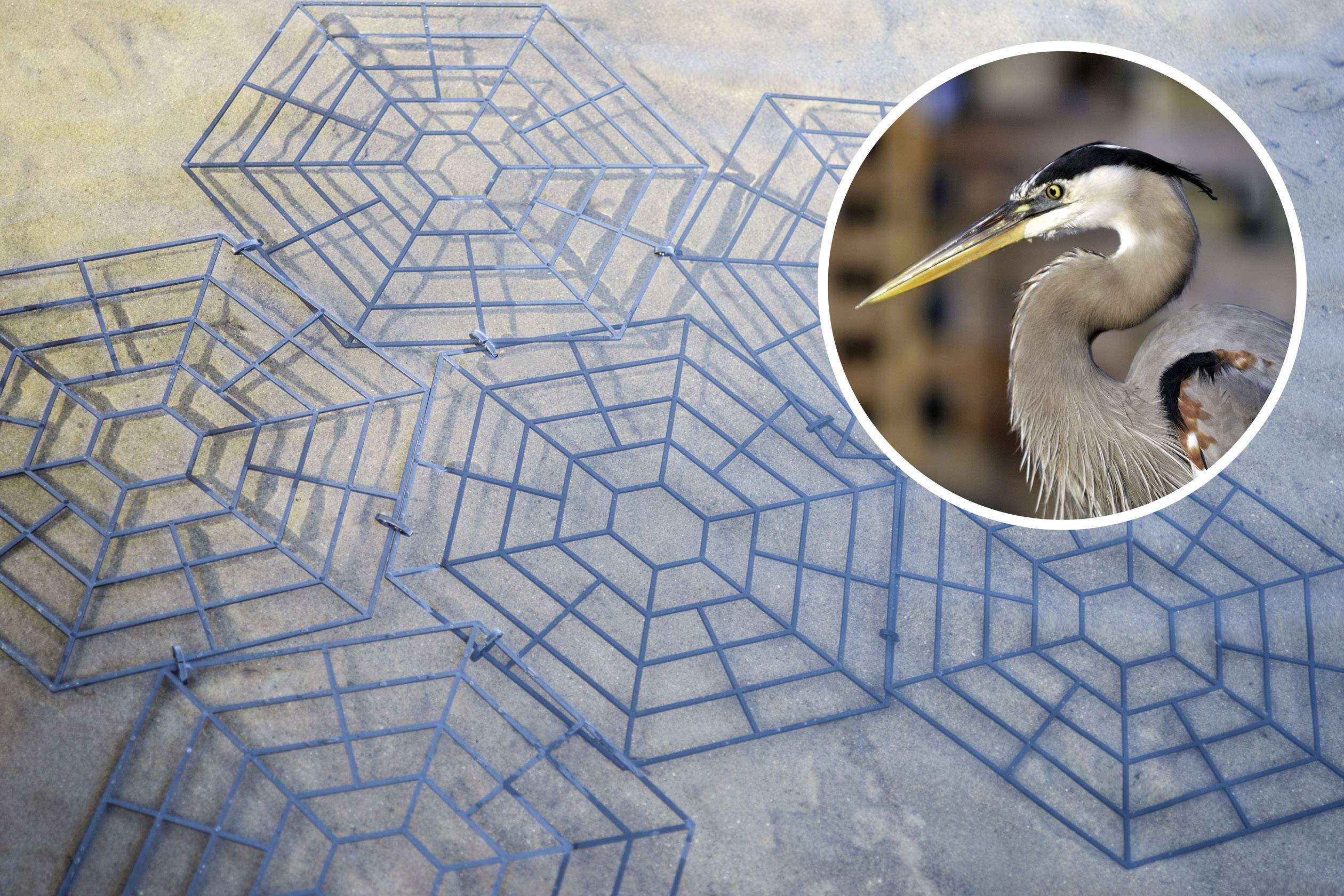 Blue geometric pattern on concrete with a photograph of a grey heron in the foreground.