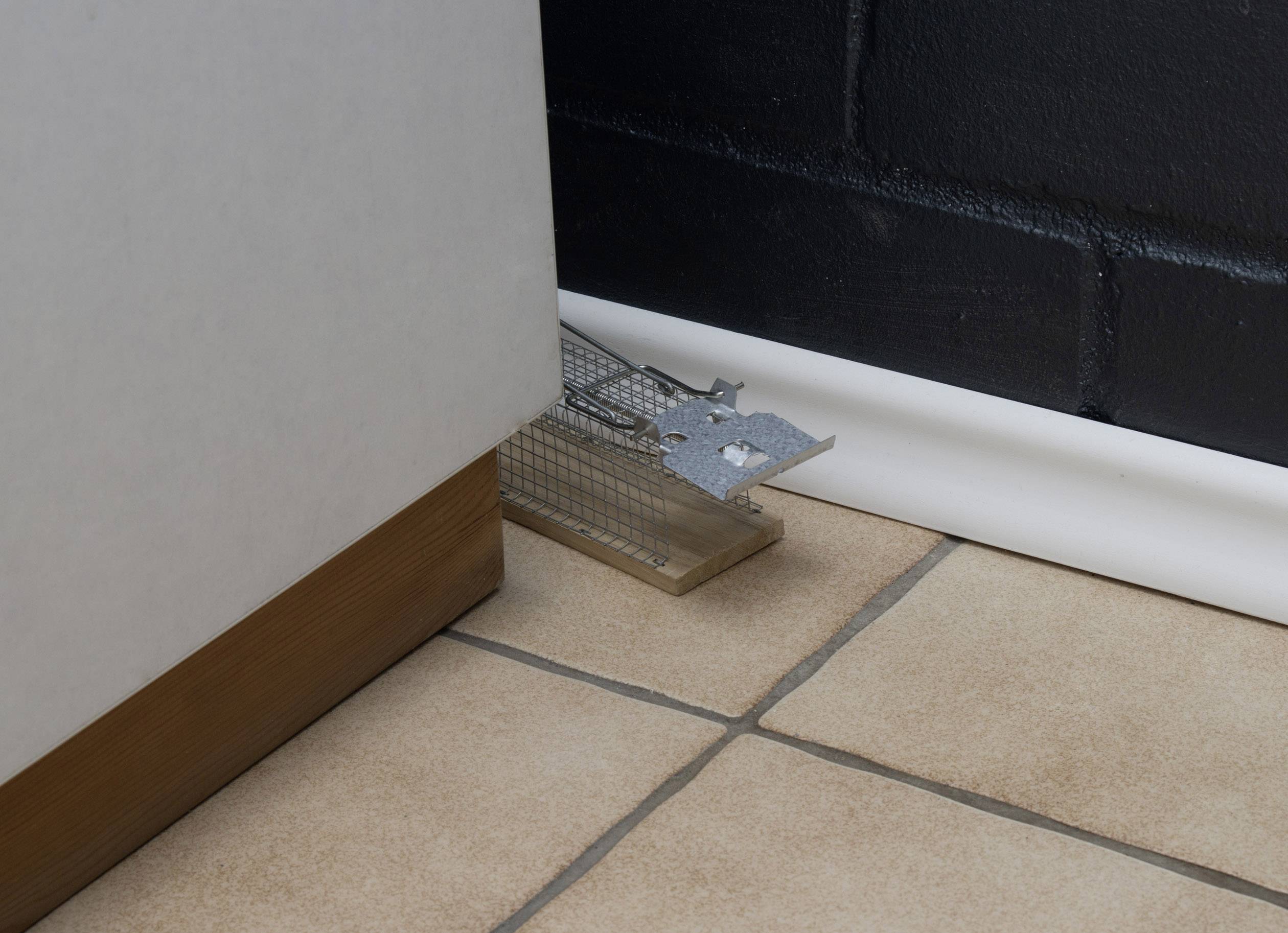 'Mousetrap placed behind a cupboard on tiled flooring, ready for pest control in a domestic setting.'