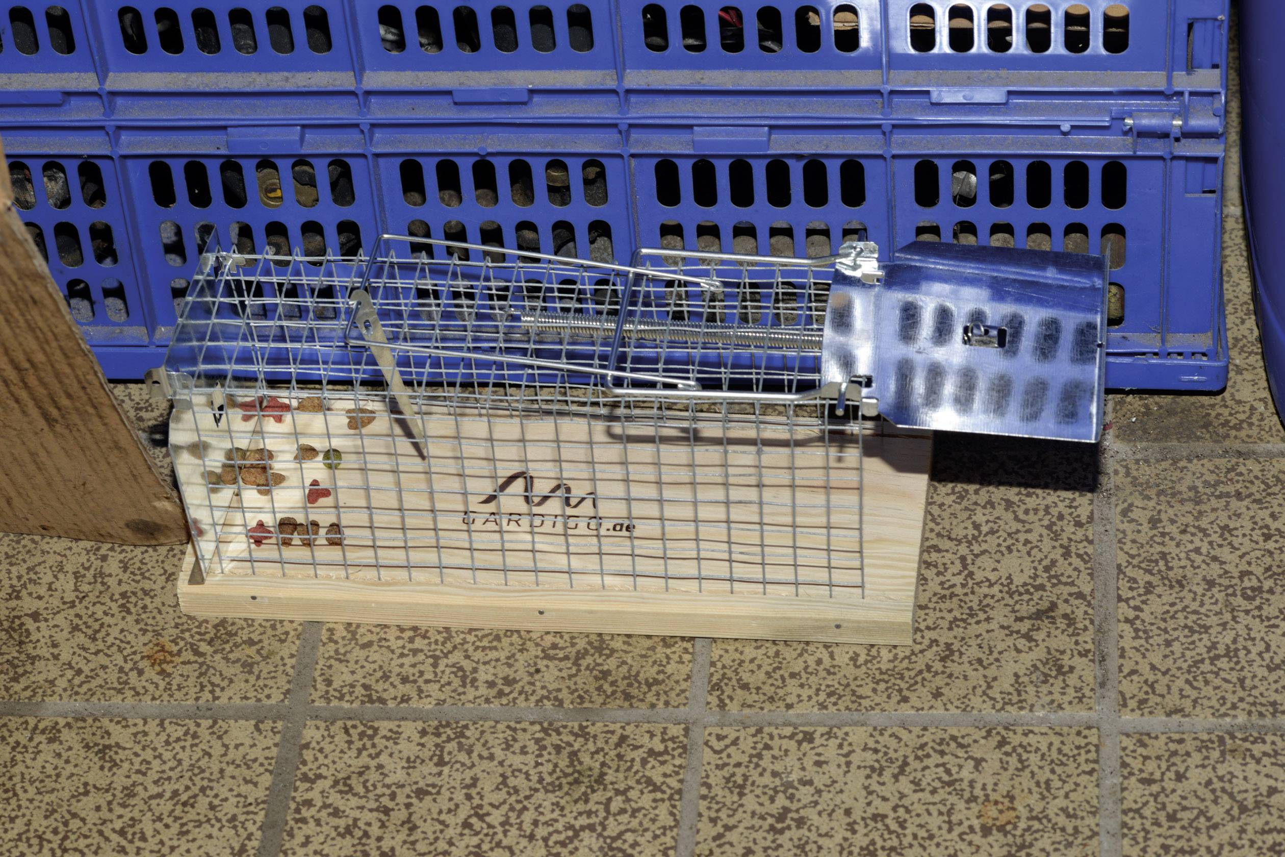 An empty wire trap sits on a tiled floor, surrounded by blue grid-like structures, potentially for animal trapping.