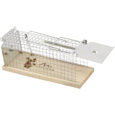 Buy Gardigo Live Rat Trap Cage trap Working principle Pheromone 1 pc(s)