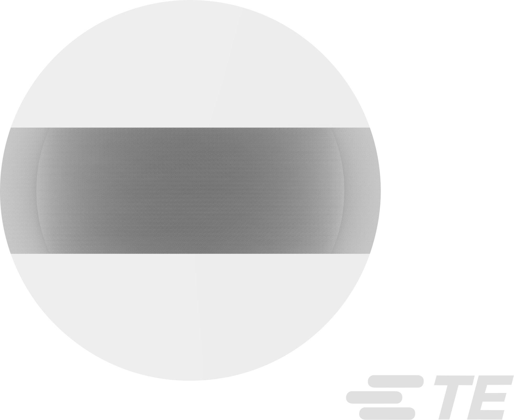 A round grey disc with a darker central stripe, surrounded by a light border. In the bottom right, an abstract logo with the letters 'TE'.