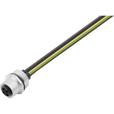 An electrical cable with a plug at the end. The cable is black, with yellow and green lines visible.
