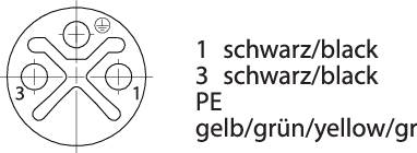 Socket Assignment: Circular diagram shows automotive plug with codes. Labels: '1 black', '3 black', 'PE', 'yellow/green'.