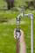 A hand connects a garden hose to a tap in the garden. Blurred greenery is visible in the background.