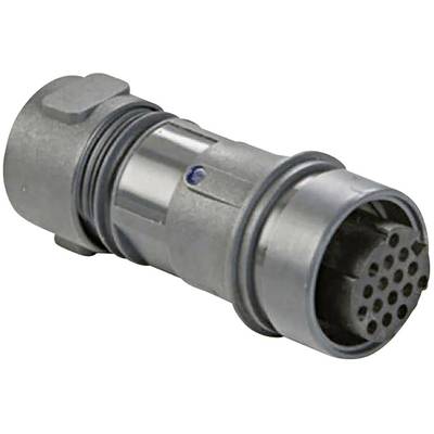 Bulgin PXP6011/03P/CR/0507 DIN connector Plug, straight Series (round connectors): Buccaneer 6000 Total number of pins: 
