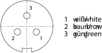 Figure of a three-pin plug. Markings: '1 white', '2 brown', '3 green'. Top view of plug with three numbered contacts.