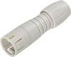 binder 99 9225 400 08 Micro DIN connector Plug, straight Total number of pins: 8 1 pc(s)