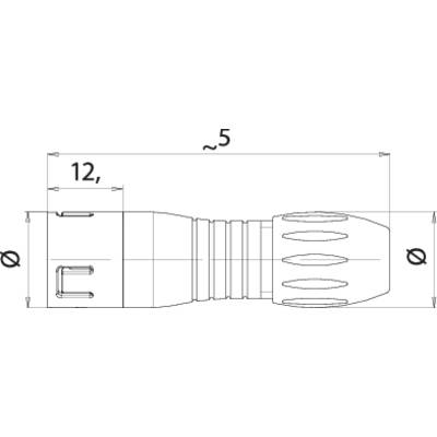 Technical drawing of a torch with dimensions '12_3' in length and various circular details on the handle.