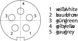 A circular connector diagram with five numbered contacts shows colour-coded connections: 1 white, 2 brown, 3 green, 4 yellow, 5 grey.