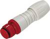 binder 99 9206 450 03 Micro DIN connector Connector, straight Total number of pins: 3 1 pc(s)