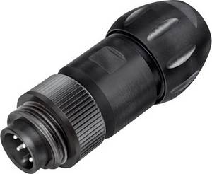 binder  99 4221 300 04  Micro DIN connector  Plug, straight  Total number of pins: 3 + PE      1 pc(s)