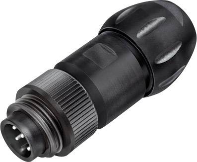 binder 99 4221 300 04 Micro DIN connector Plug, straight Total number of pins: 3 + PE 1 pc(s)