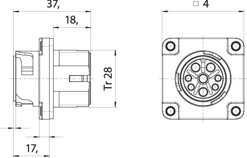 Technical drawing of a connector with dimensions in millimetres. Left view shows side profile, right view shows front view of the plug.