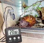 Terra Check Digital thermo-hygrometer
