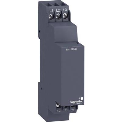 Black electric relay by Schneider Electric, model RM17TG00, with terminal blocks on top and bottom, marked L1, L2, L3.