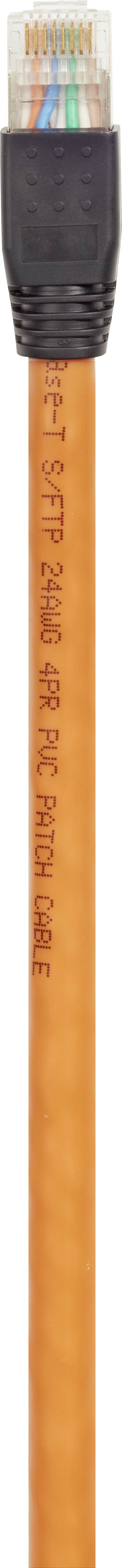 Renkforce RF-4769898 RJ45 Patch cable CAT 8.1 S/FTP 0.30 m Orange gold plated connectors, incl. detent 1 pc(s)-5