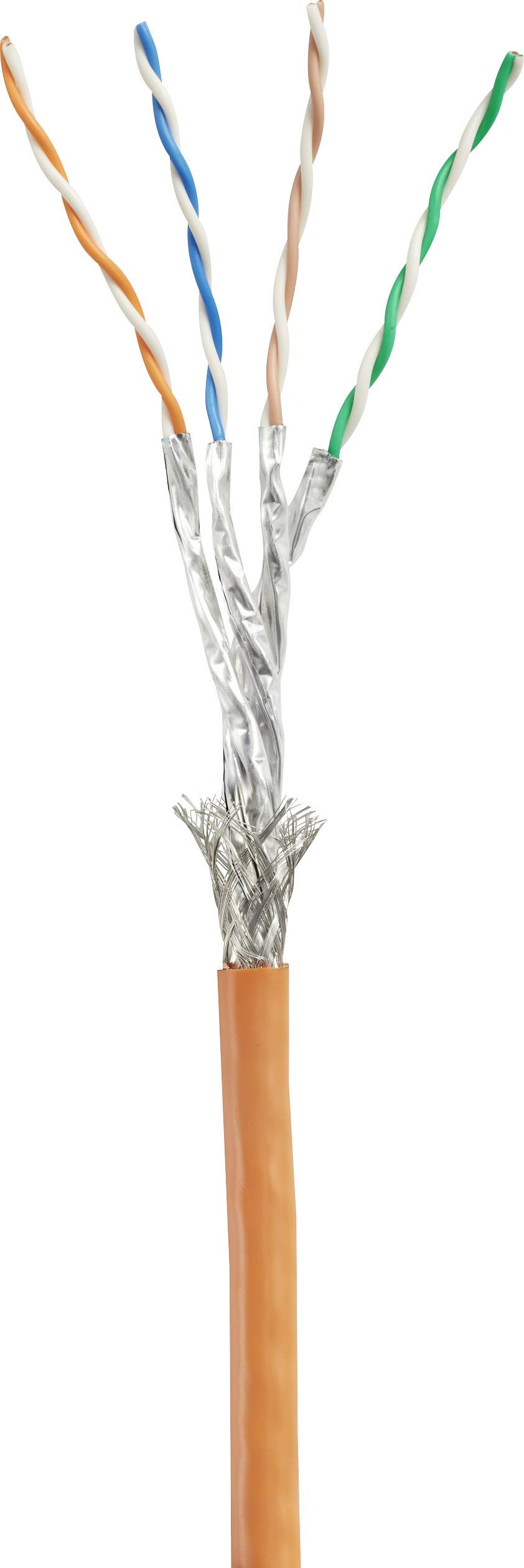 Renkforce RF-4769898 RJ45 Patch cable CAT 8.1 S/FTP 0.30 m Orange gold plated connectors, incl. detent 1 pc(s)-6