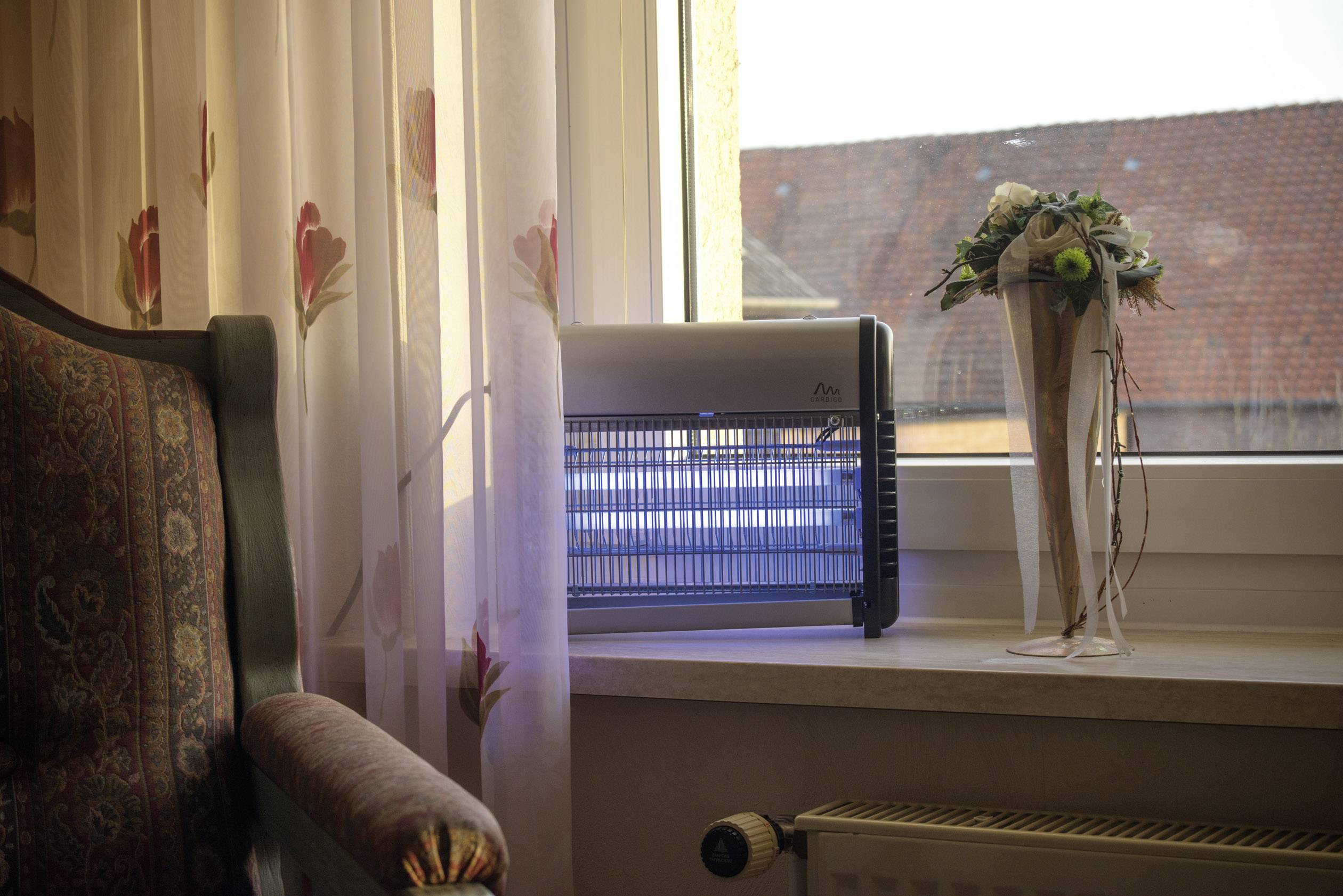 An insect killer stands on a windowsill in a living room, illuminated by sunlight. Beside it, a flower arrangement.