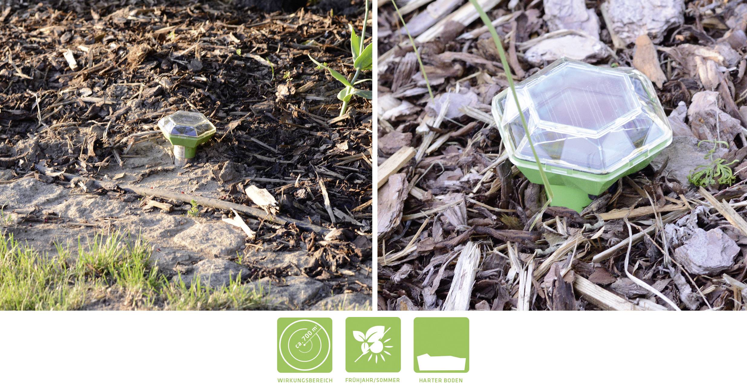 A solar-powered mole deterrent in a garden bed, surrounded by mulch and grass. Below are symbols indicating its range of effectiveness, animal-friendly nature, and waterproof design.