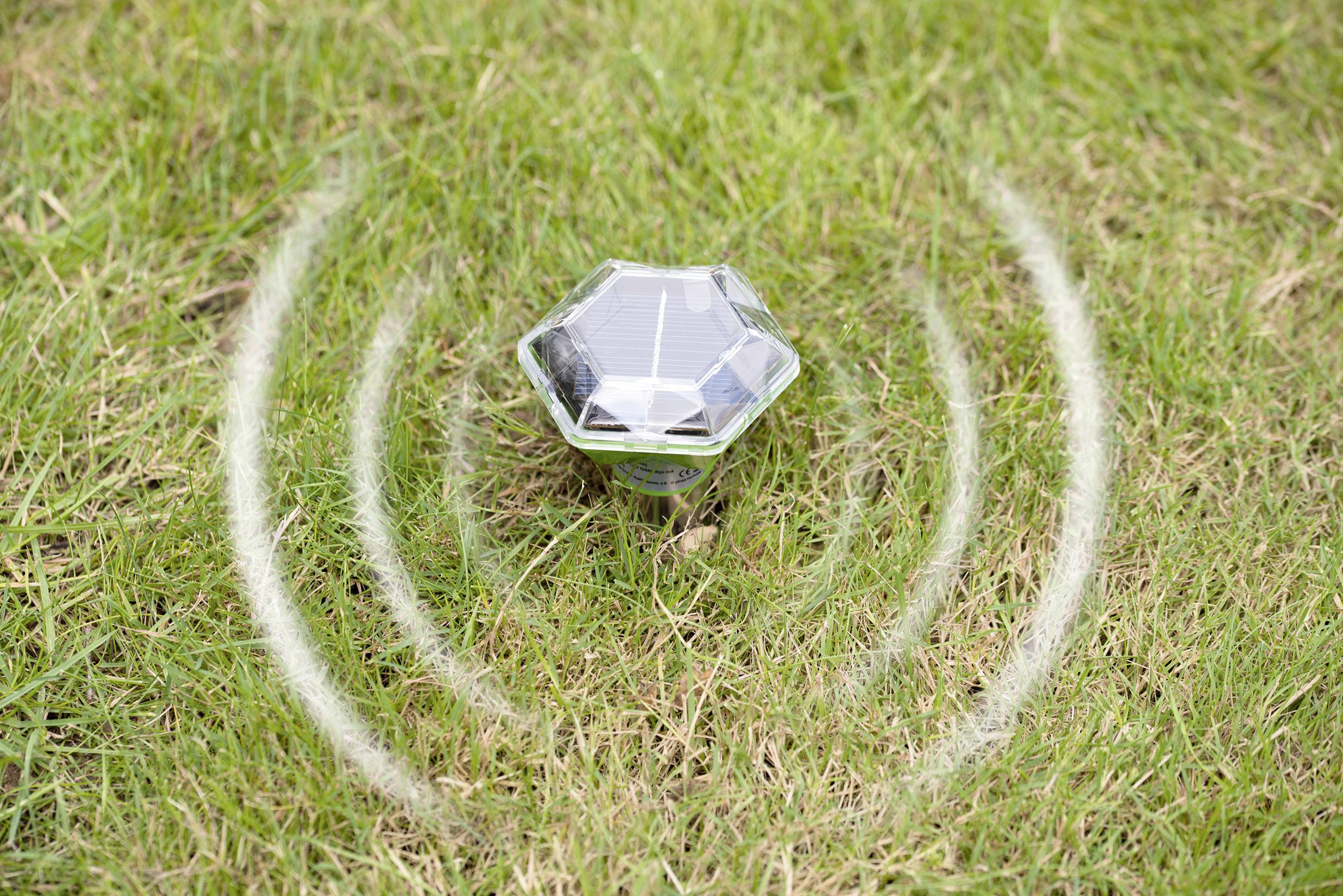 Solar-powered mole deterrent in grass; emits sound waves to repel moles.