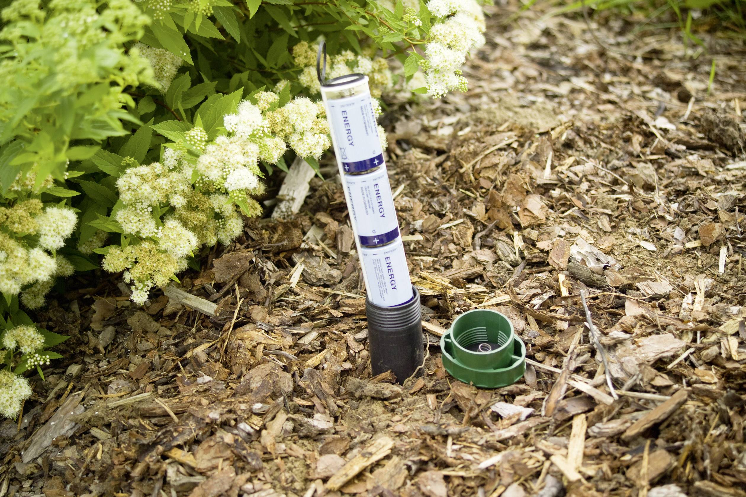 Soil moisture sensor in a garden bed with wood mulch, next to flowering plants. The sensor monitors soil moisture.