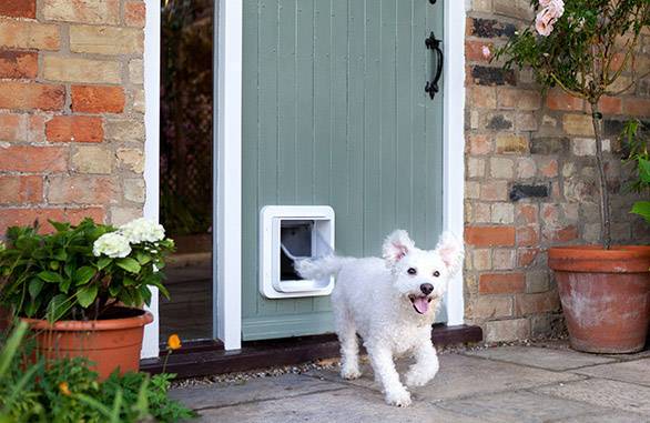 Pet door connect best sale