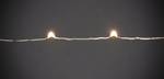 Micro LED tree sheath with ring Ø 11, 5 strands each 48 diodes, app-controlled
