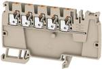 N/A AAP12 2.5 LI OR 2503880000 Grey Weidmüller 50 pc(s)