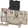 Weidmüller 2460190000 Distributor serial terminal 6.10 mm Pull spring Beige 50 pc(s)