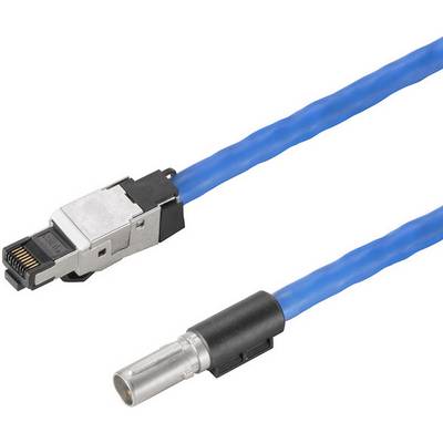 A blue cable with an RJ45 plug and a coaxial connection demonstrates the connection options for network devices.