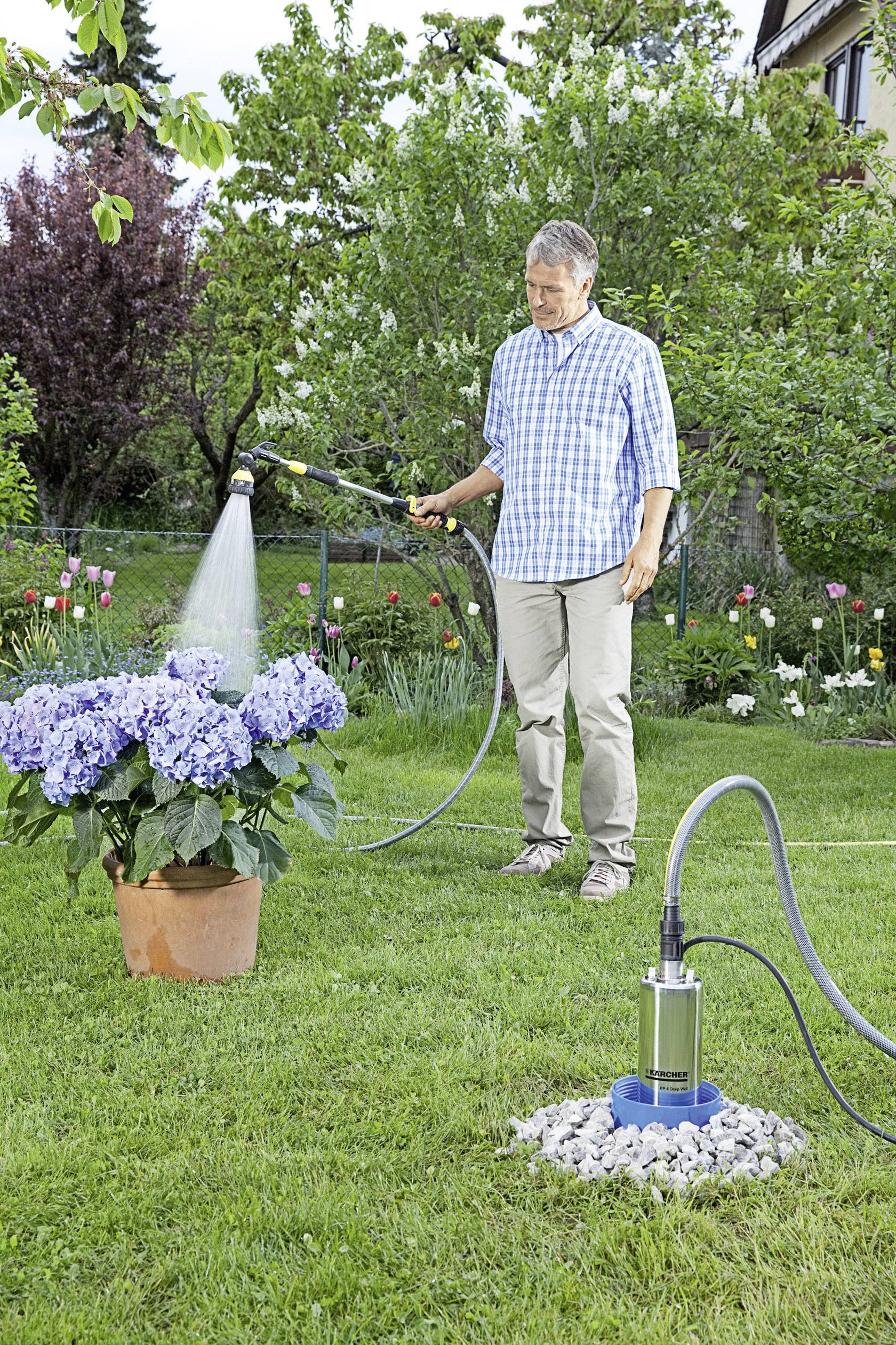 A man in the garden is watering hydrangeas in a flower pot with a hosepipe. Beside him, a water pump stands on the lawn.