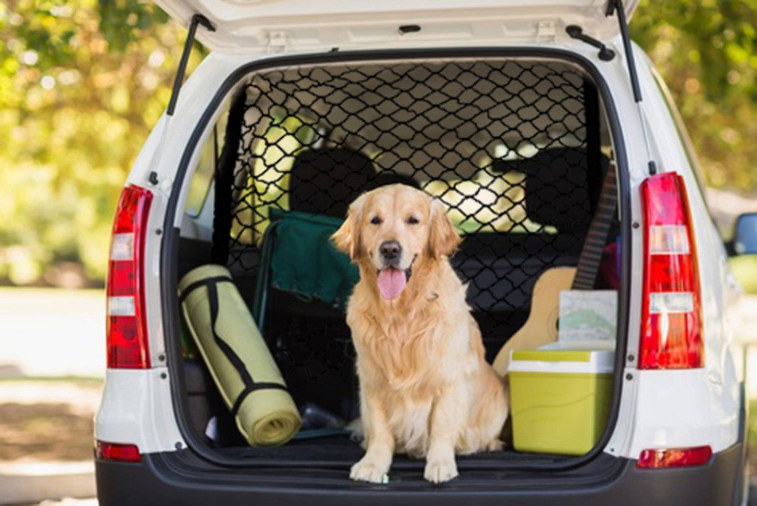 HP Autozubehoer 19980 Cargo net Compatible with (car model) Universal (L x W) 130 cm x 87 cm Black