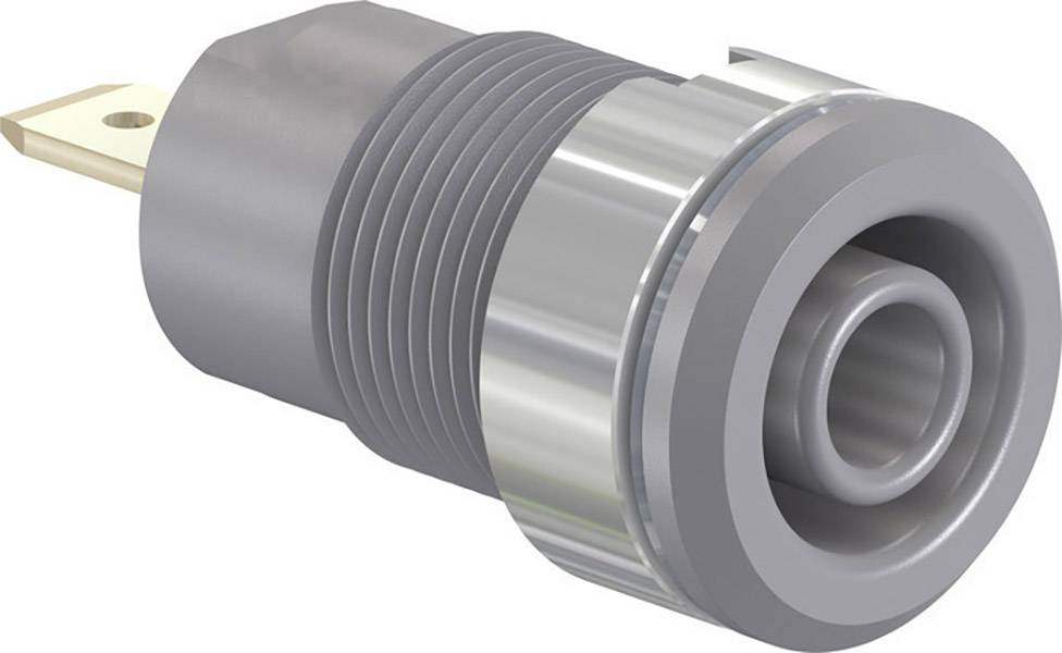 'A grey, cylindrical plug with a thin metal pin at one end, typically used for electronic devices.'