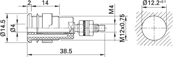 Technical drawing of a plug with dimensions, interior view and cross-section, showing detailed measurements and mounting details.