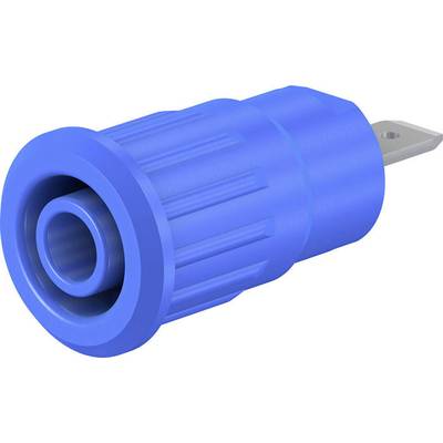 Blue connector with a ridged surface and metal contact, side view. Use: Electrical connections.