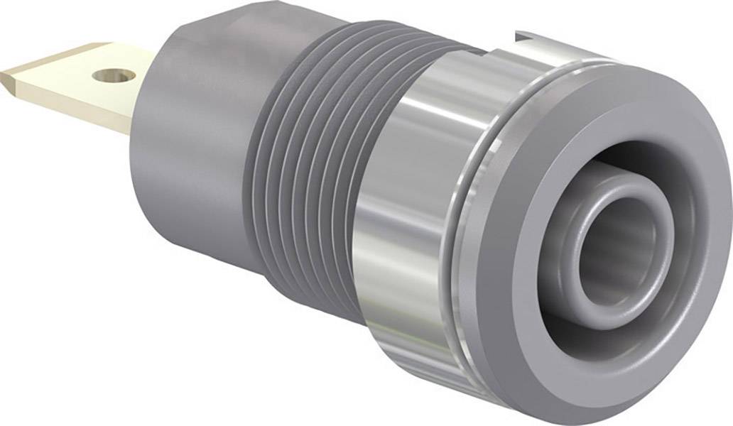 Grey, metallic cylindrical plug with a ribbed surface and metal tip.