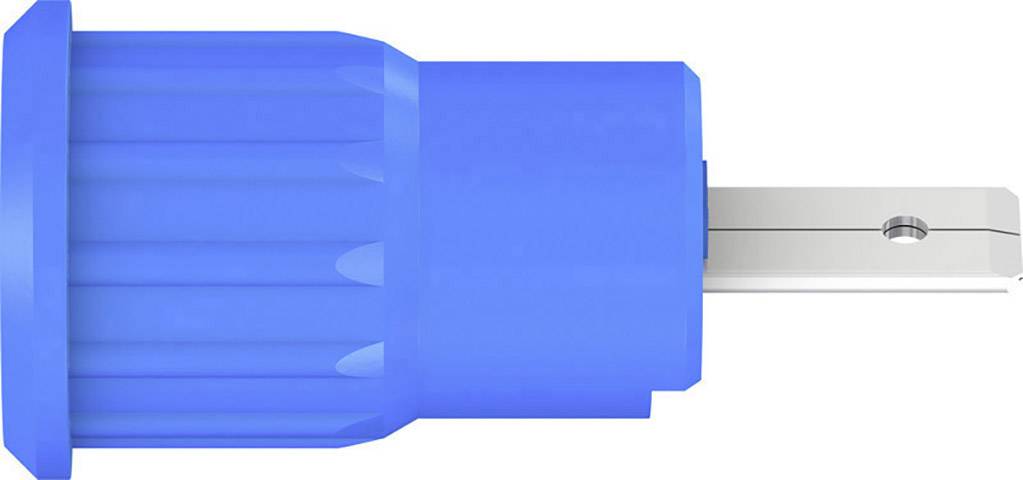 A blue plastic cap with a metal element that looks like a plug or connector.