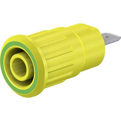 Stäubli SEB4-F/N Safety jack socket Socket, built-in  Green, Yellow 1 pc(s) 