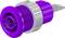 Violet push-fit connector with metal ring and thread, suitable for electrical connections. Primarily used in industrial applications.