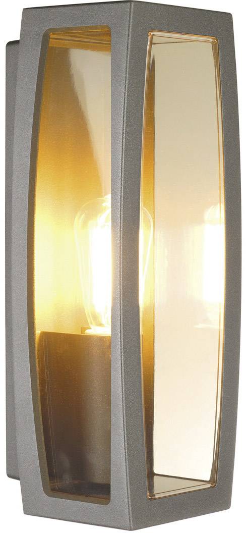 Wall light with contemporary design, metallic grey housing, transparent glass cover, and visible light bulb emitting warm light.