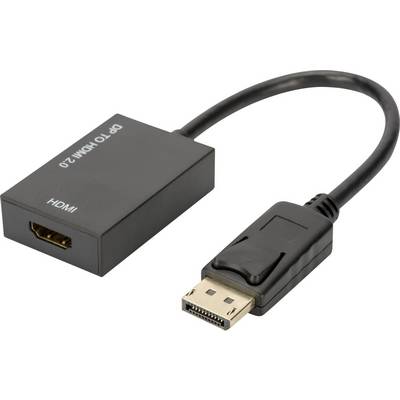 A black adapter with the inscription 'DP TO HDMI 2.0'. It has a DisplayPort plug on one side and an HDMI port on the other side.