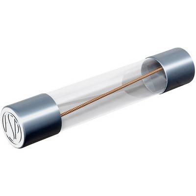A glass cylinder with metal caps at both ends and a red spiral inside.