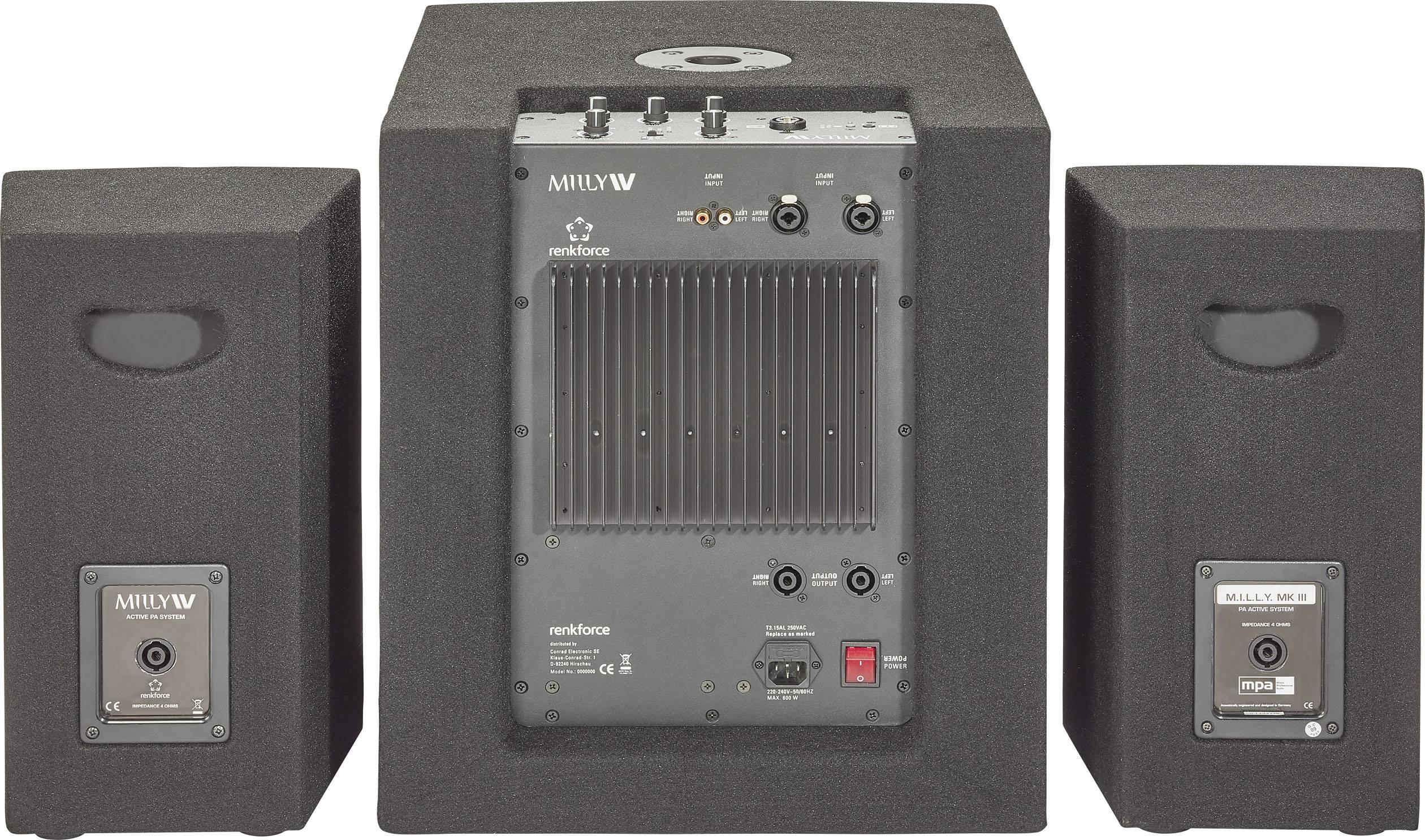 A black audio amplifier unit with two speakers, rear view showing connection and control elements.