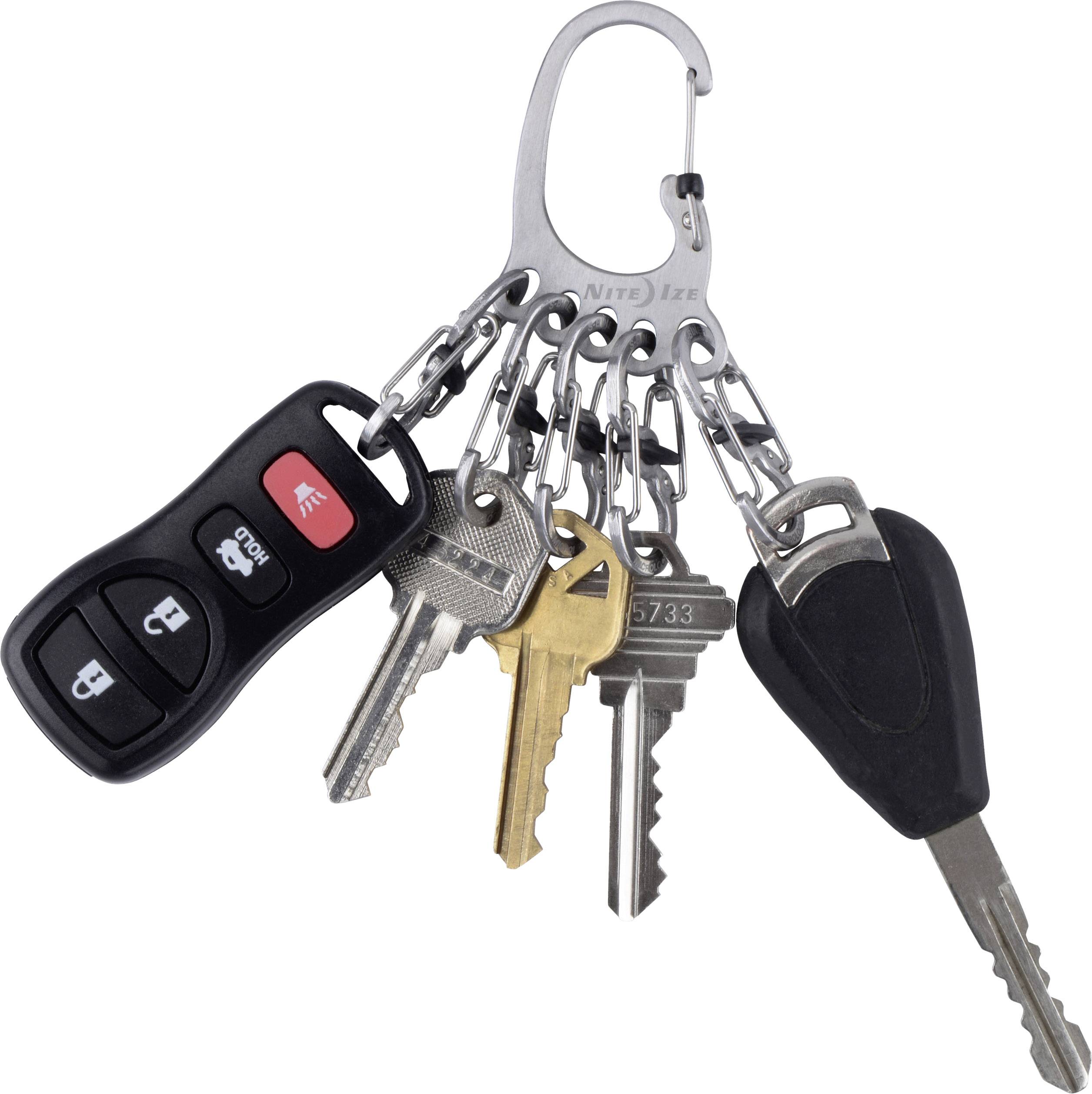 A silver carabiner clip holds several keys along with a black car key fob with buttons for opening and closing.