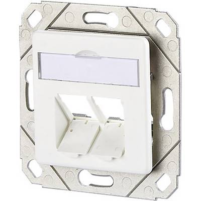 Double network socket plate with rectangular frame, suitable for installation in a wall or switch box.