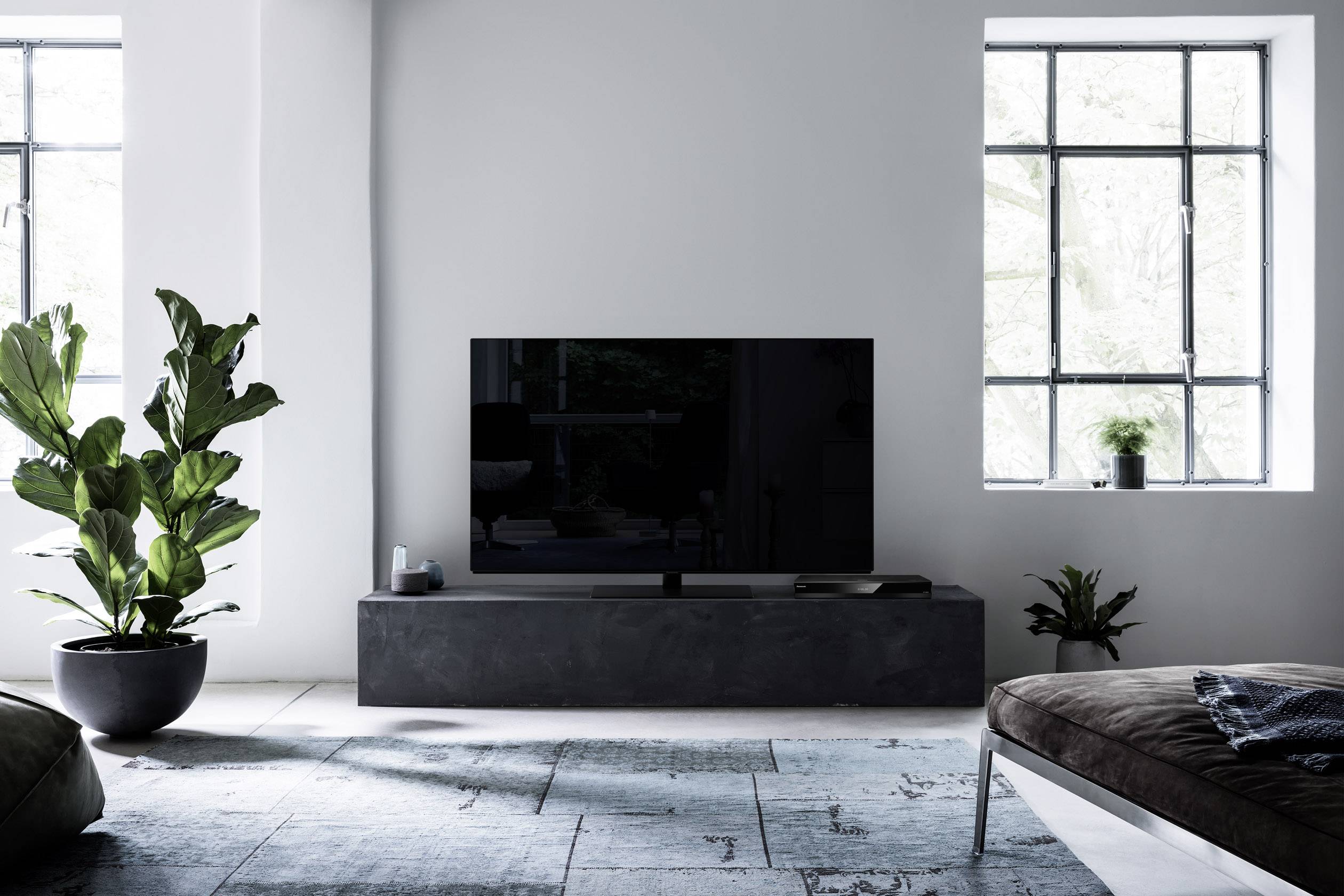 A living room with modern furniture: A large flat-screen television sits on a dark sideboard, flanked by houseplants.